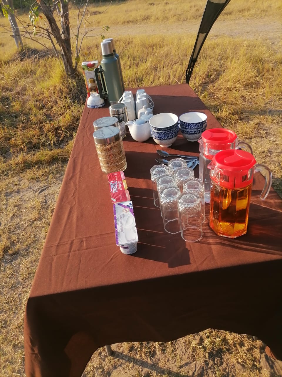 Guests enjoying refreshments during a safari